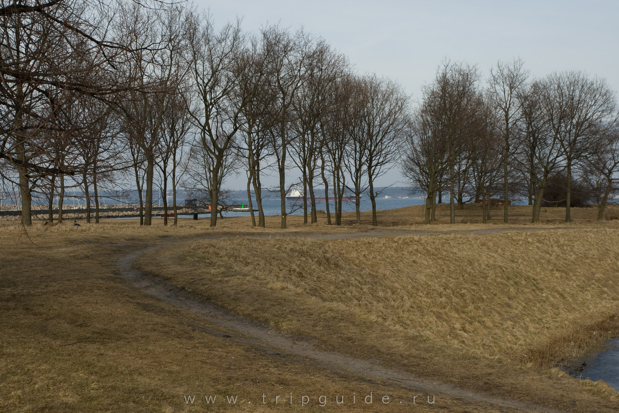 Замок Кронборг — замок Гамлета (Kronborg slot), фото 51