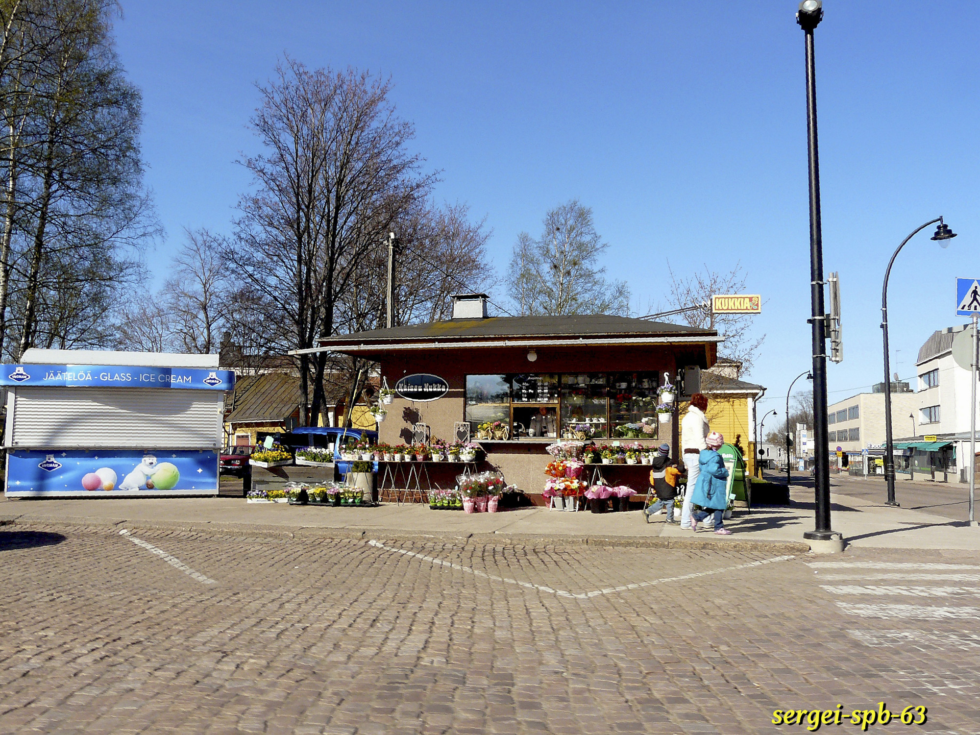 Хамина
