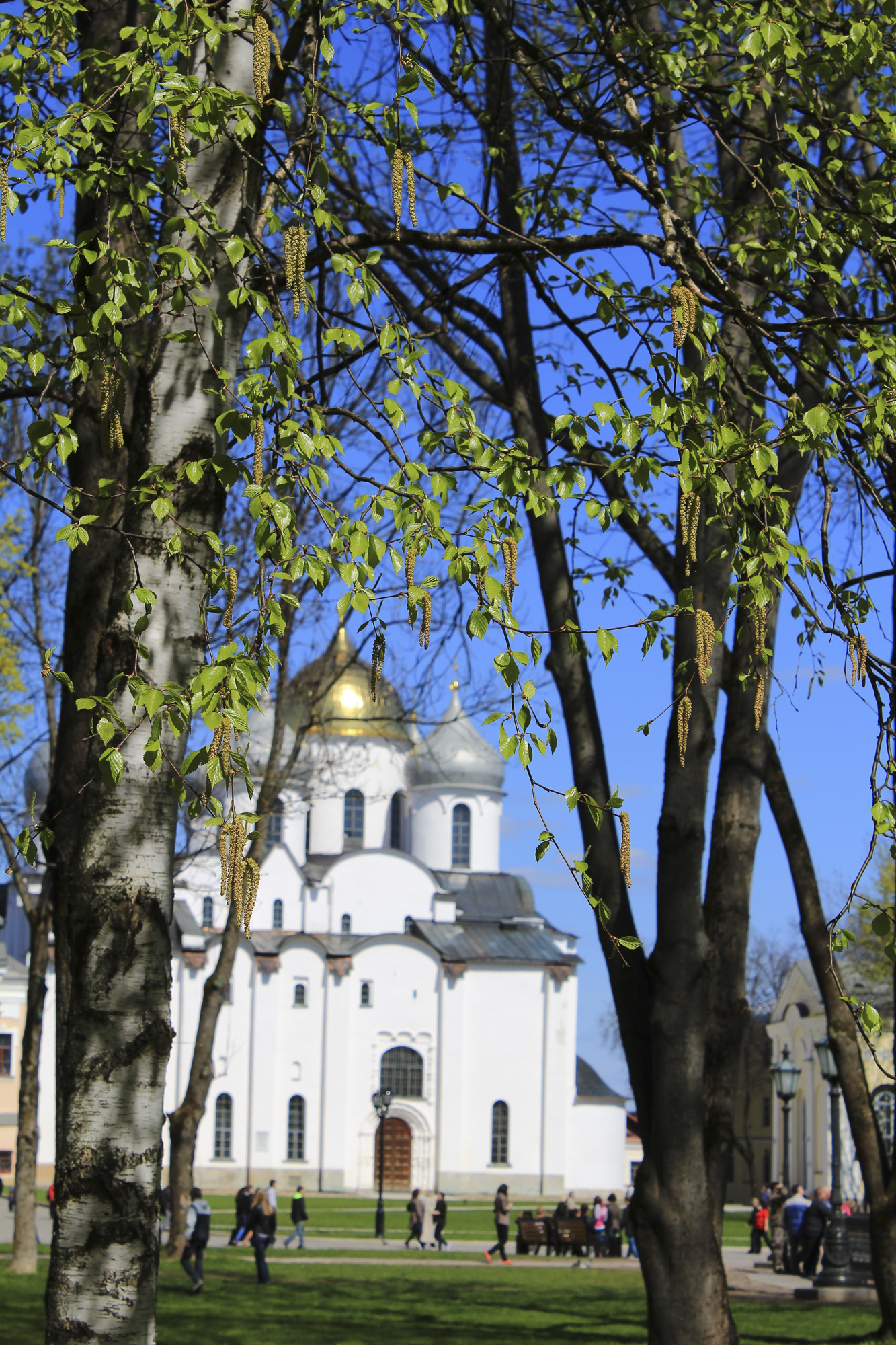 Вид на Софийский собор в Новгороде