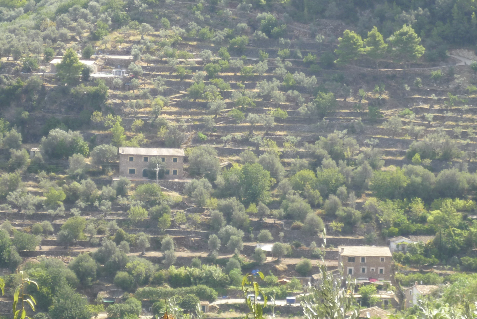 По дороге Palma — Soller