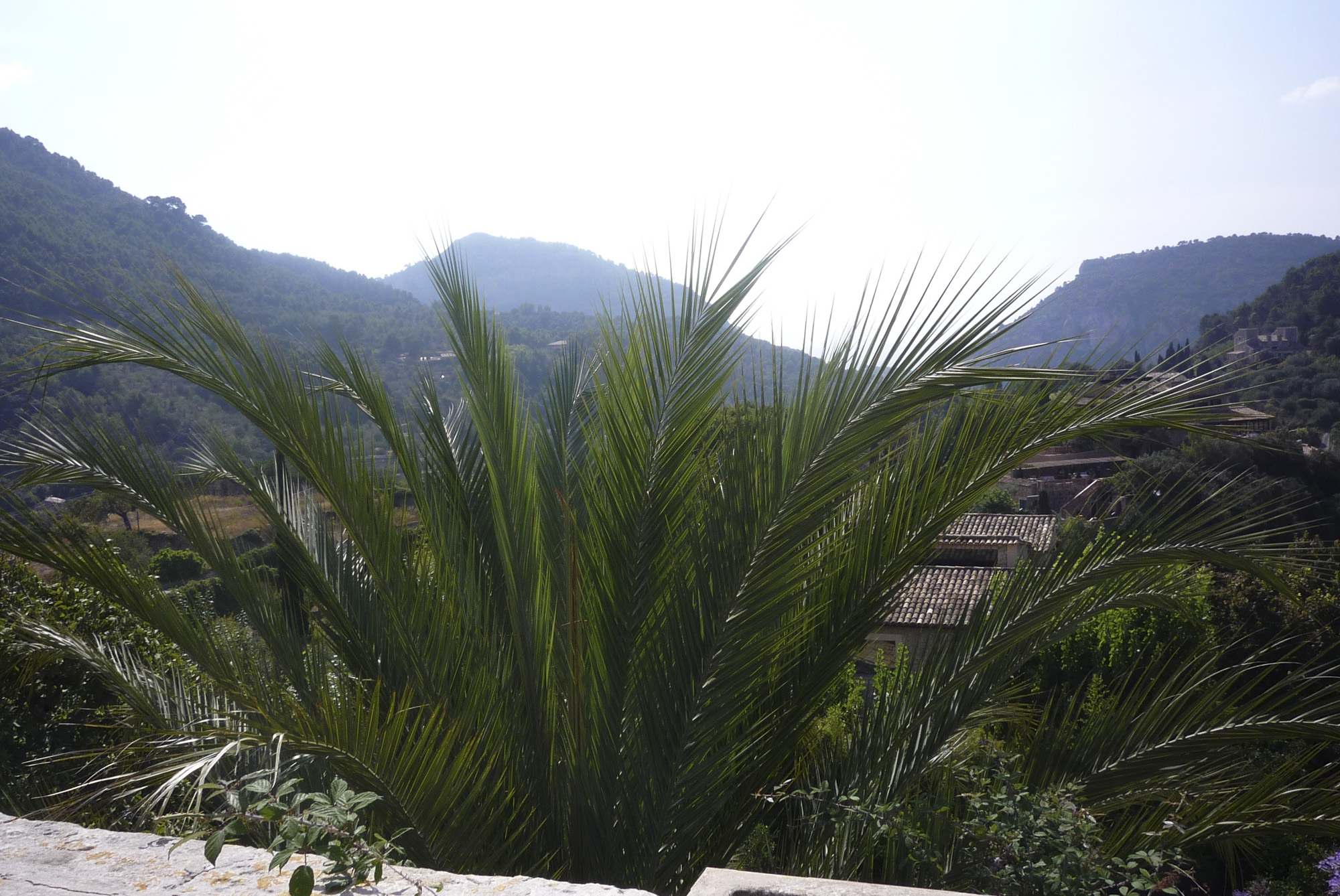 Valldemosa