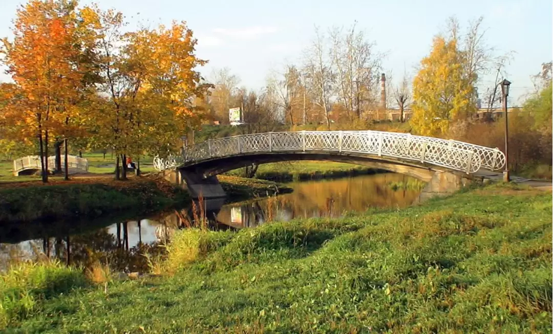 Лососинка в Петрозаводске