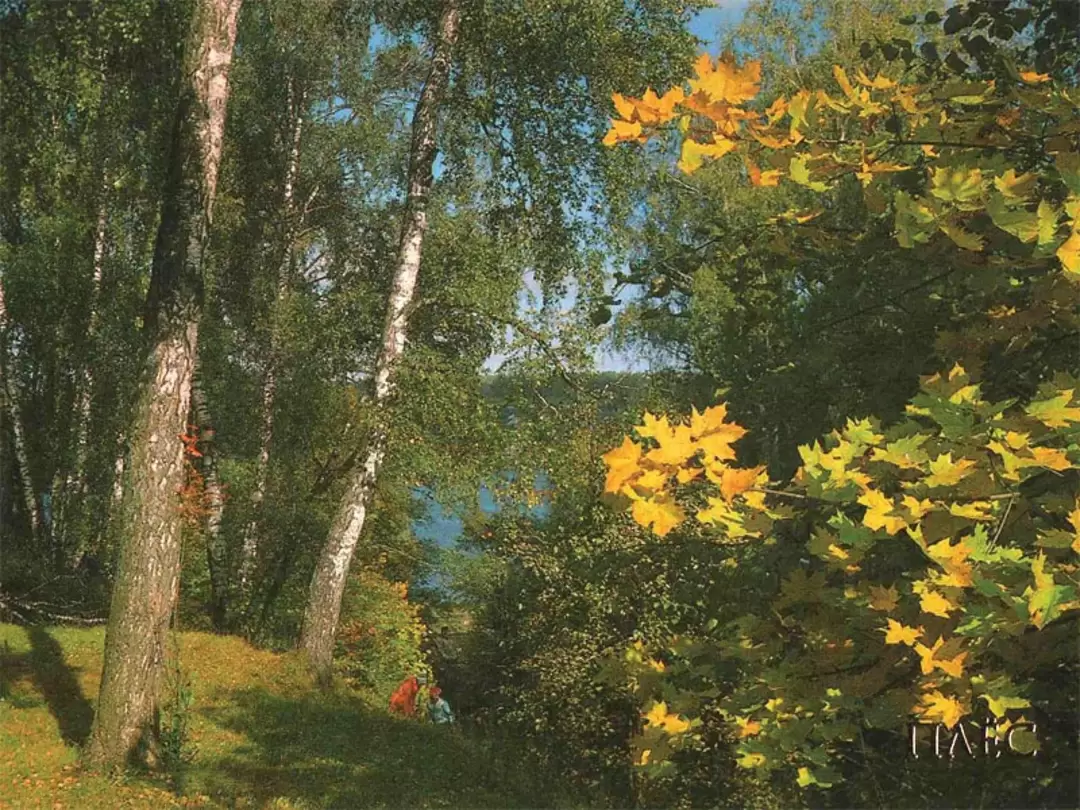 Гора Свободы, Плёс