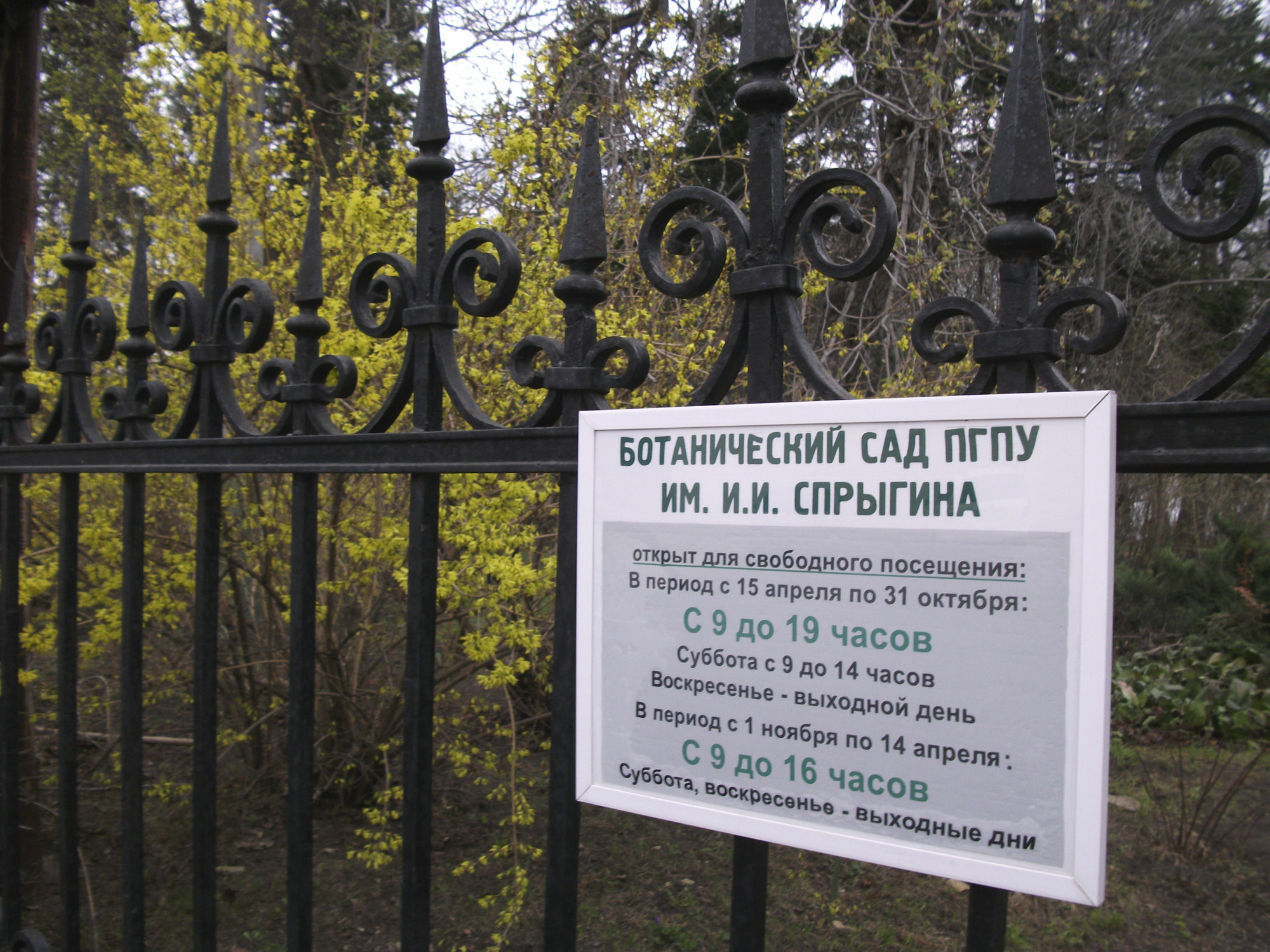 Ботанический сад в Пензе
