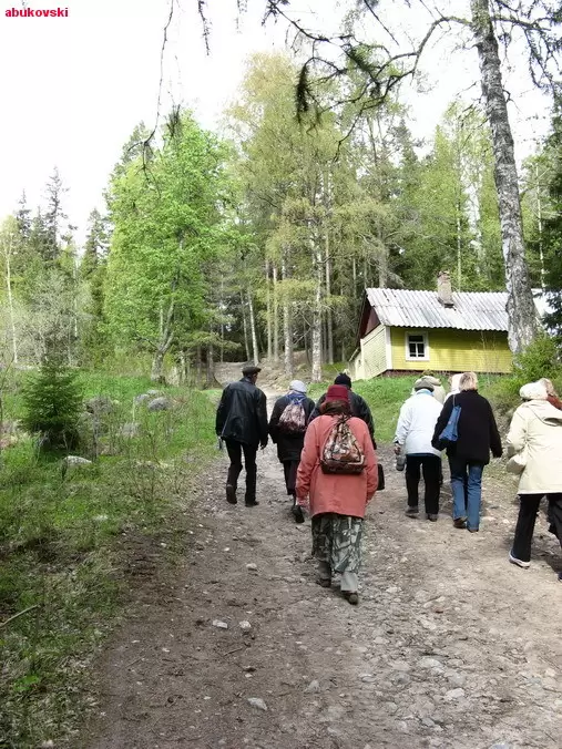 Соловки, фото 53
