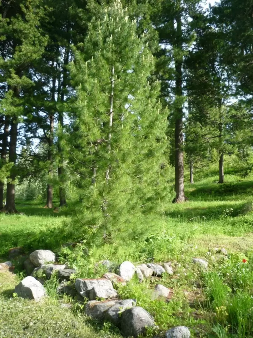 Соловки, фото 89