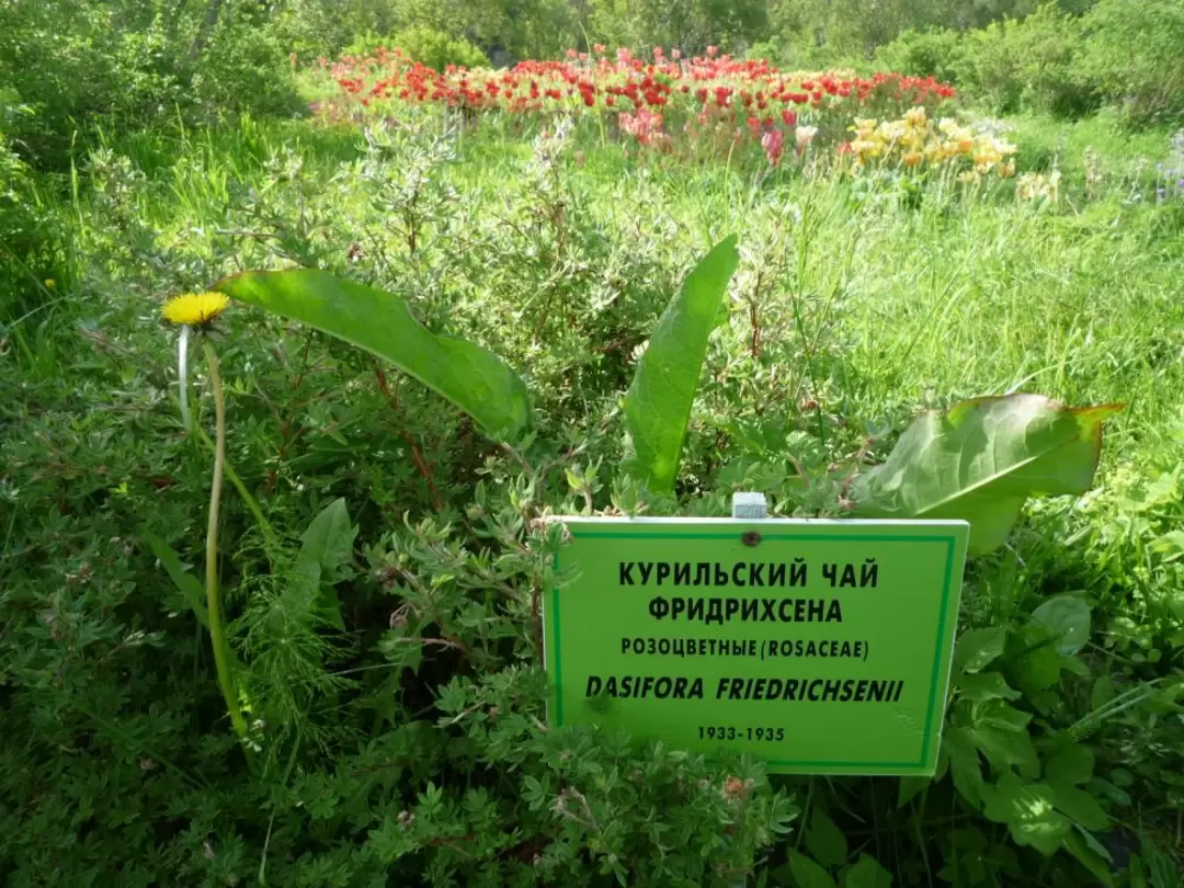 Соловки, фото 96