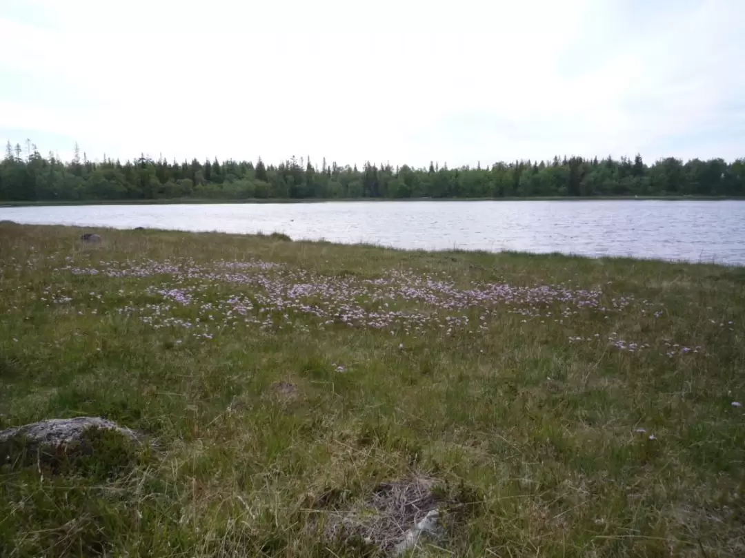 Соловки, фото 4