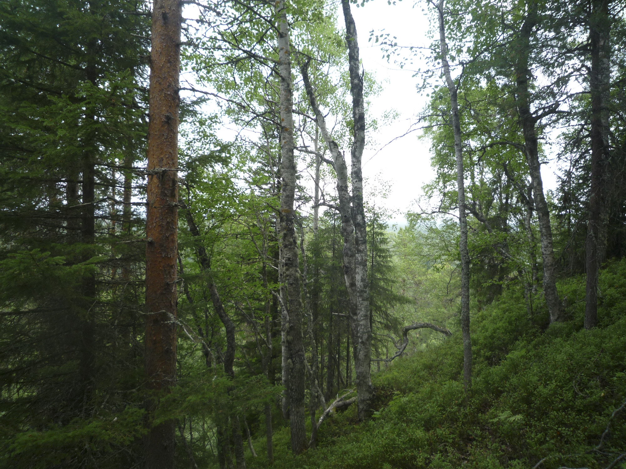 Соловки, фото 100