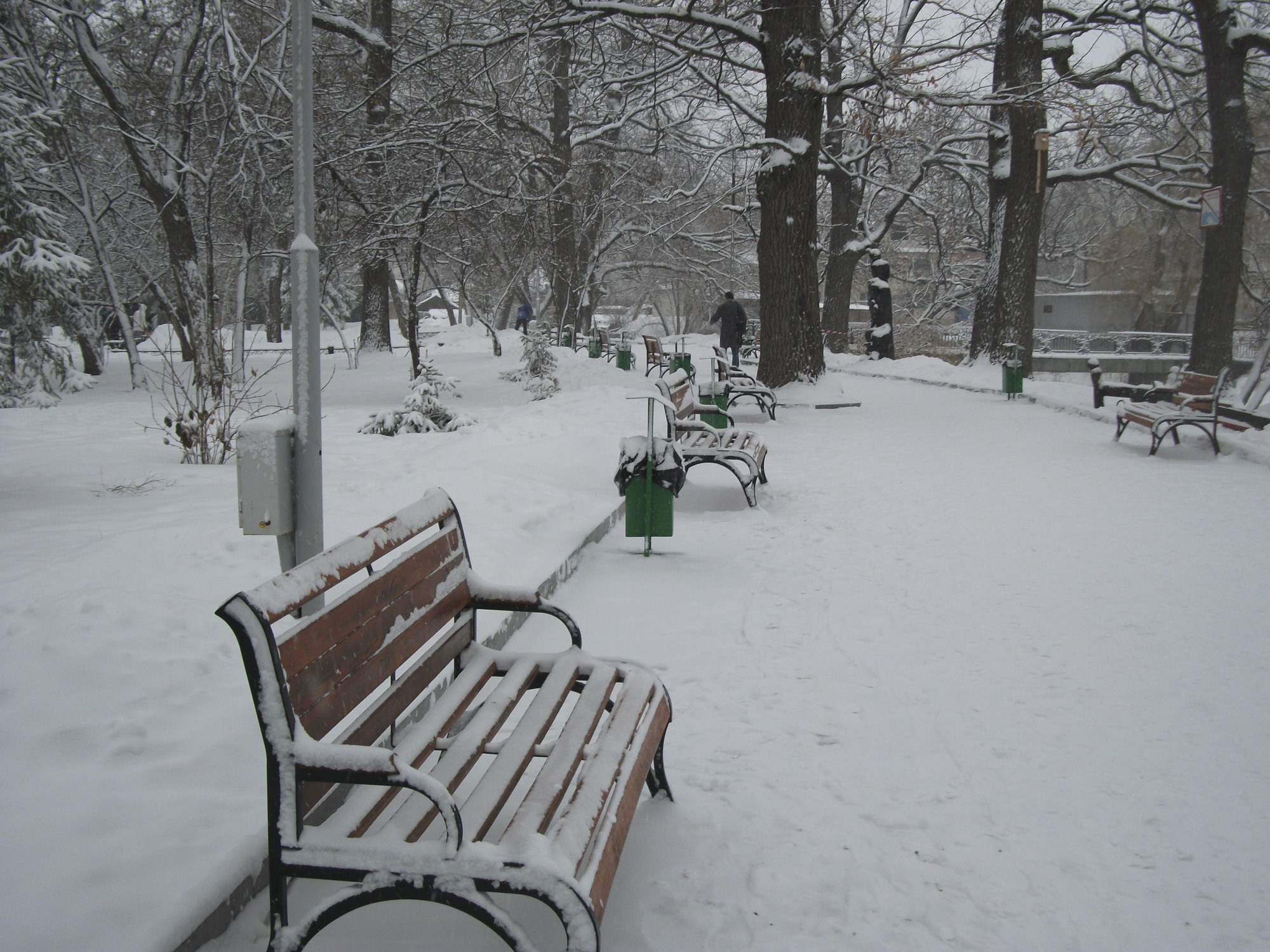 Саратов. В городском парке