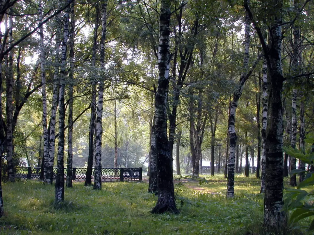 Череповец, парк