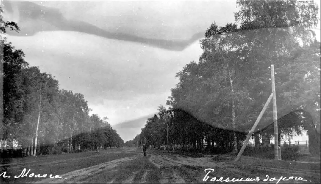 Город Молога, фото 10