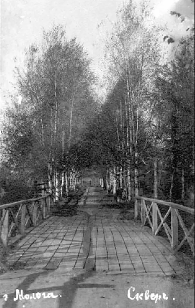 Город Молога, фото 2