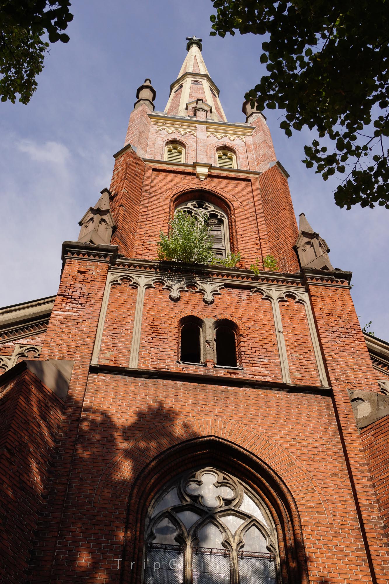 Англиканская церковь