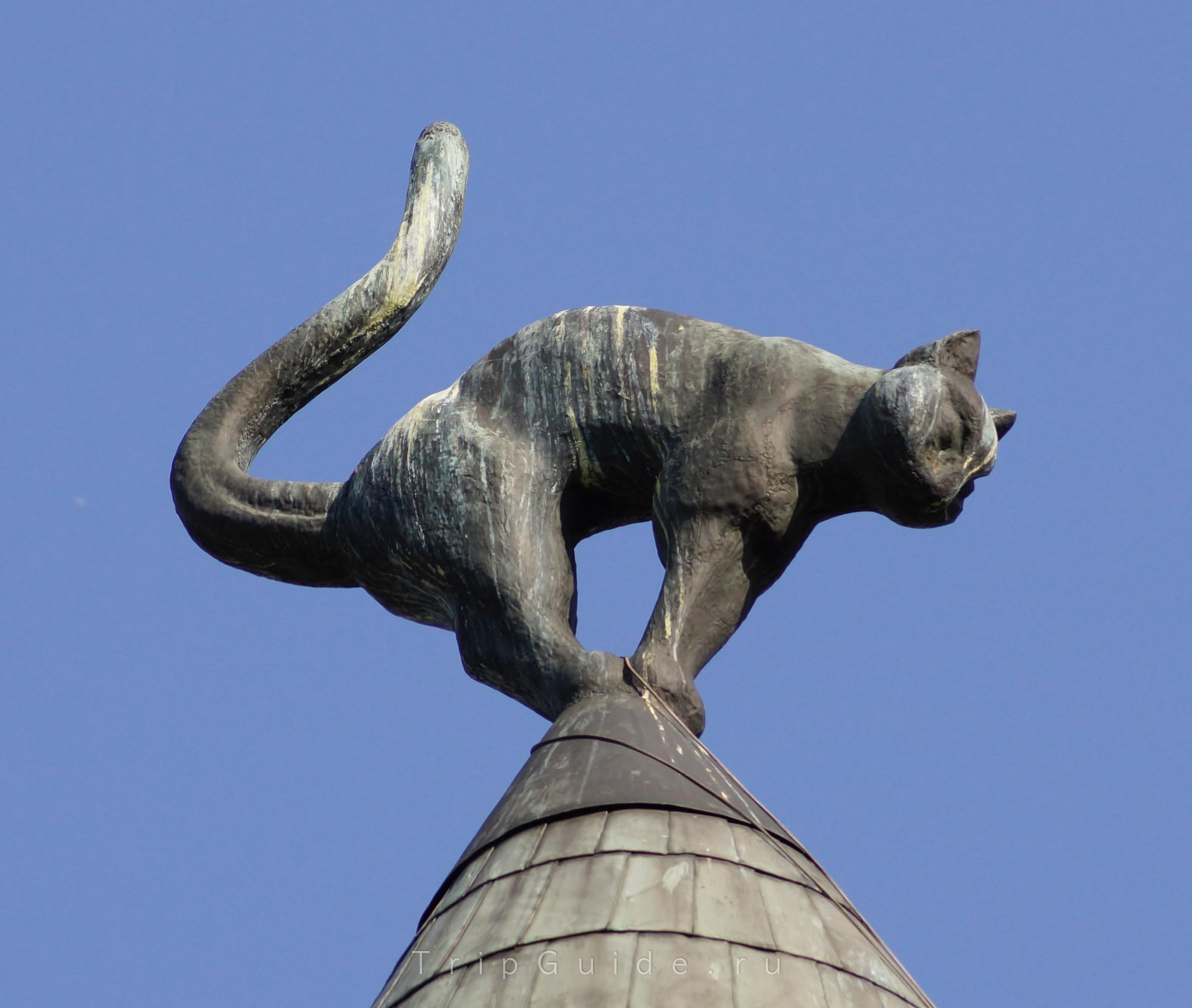Дом с котами, фото 1