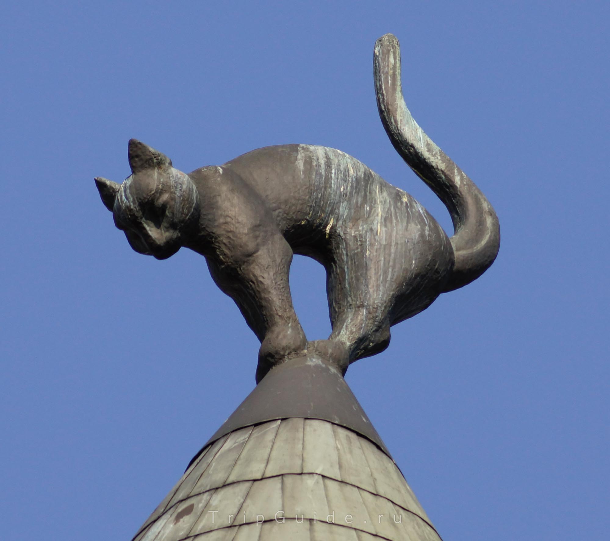Скульптура кошки на башне дома в Риге