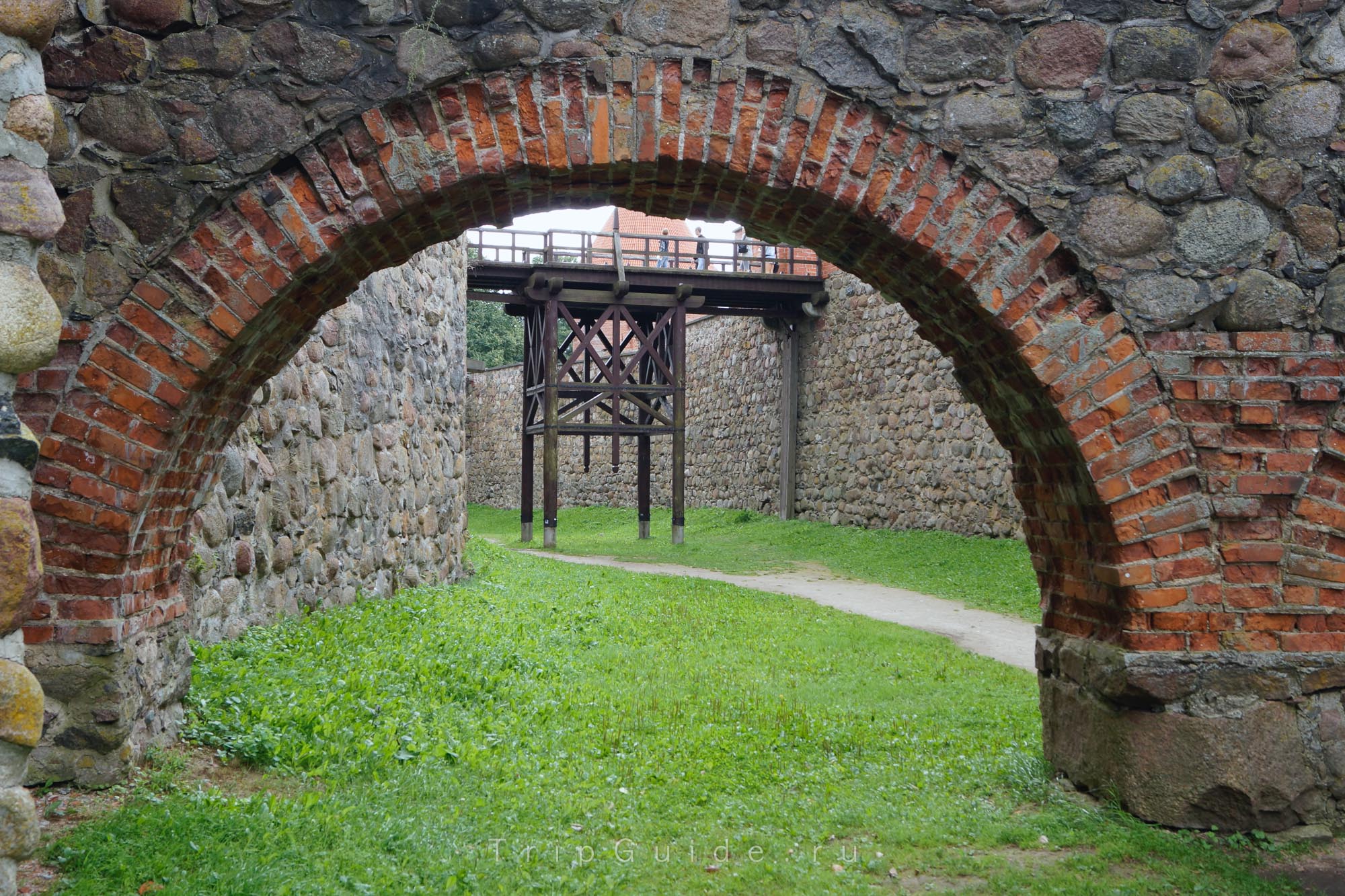 Ров