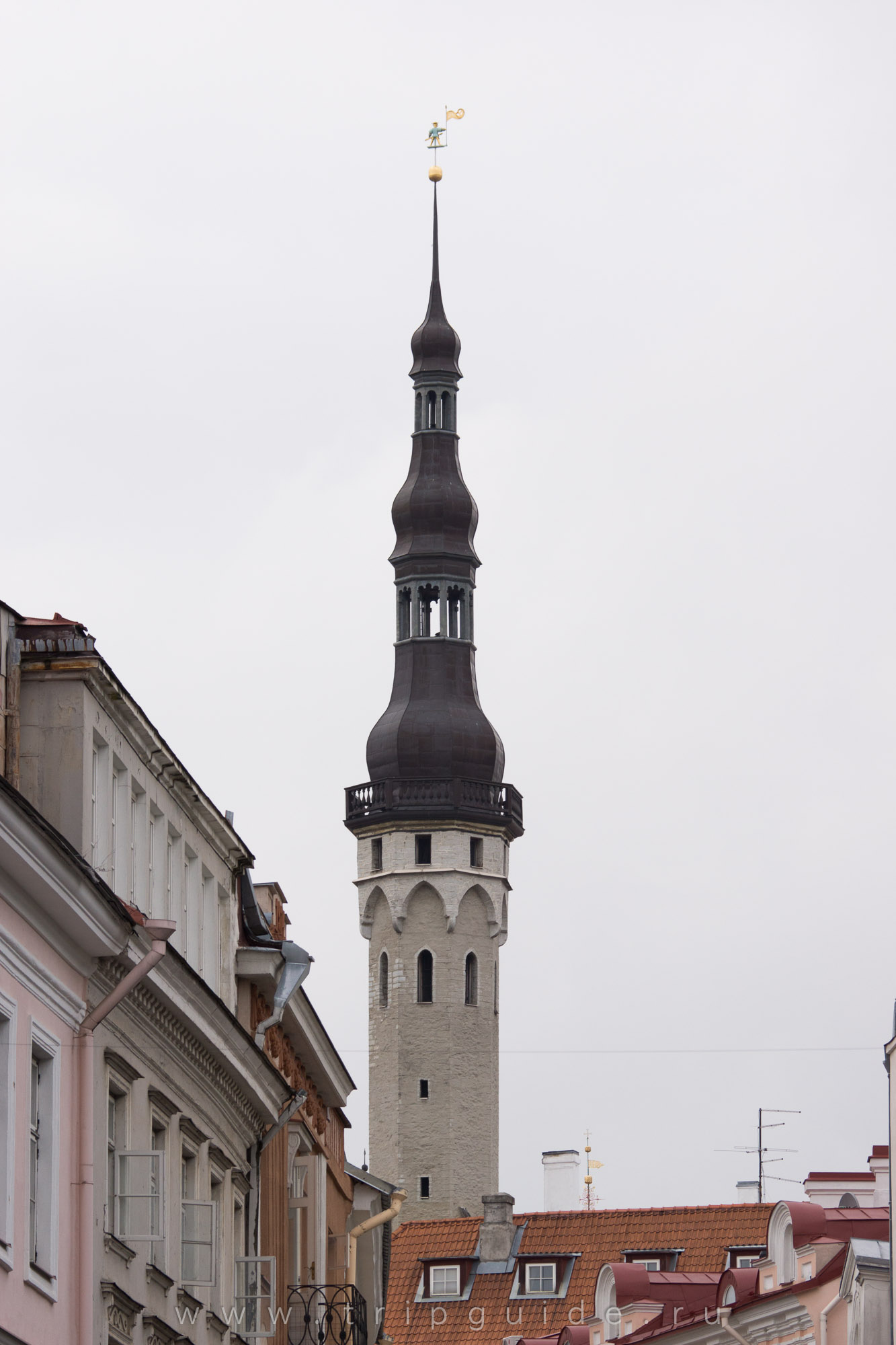 Улица Виру в Таллине, вид на башню Ратуши