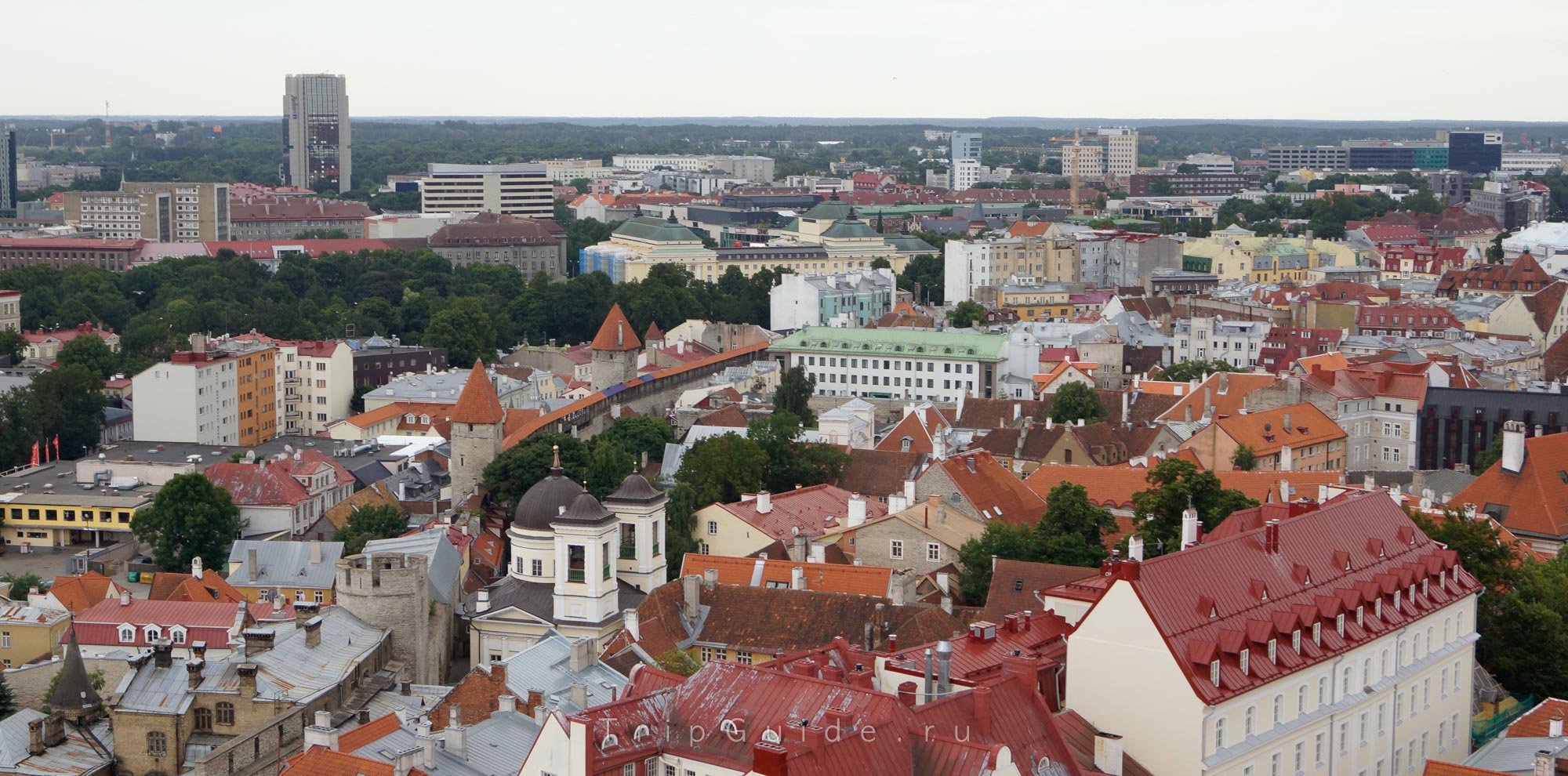 Фото Таллина
