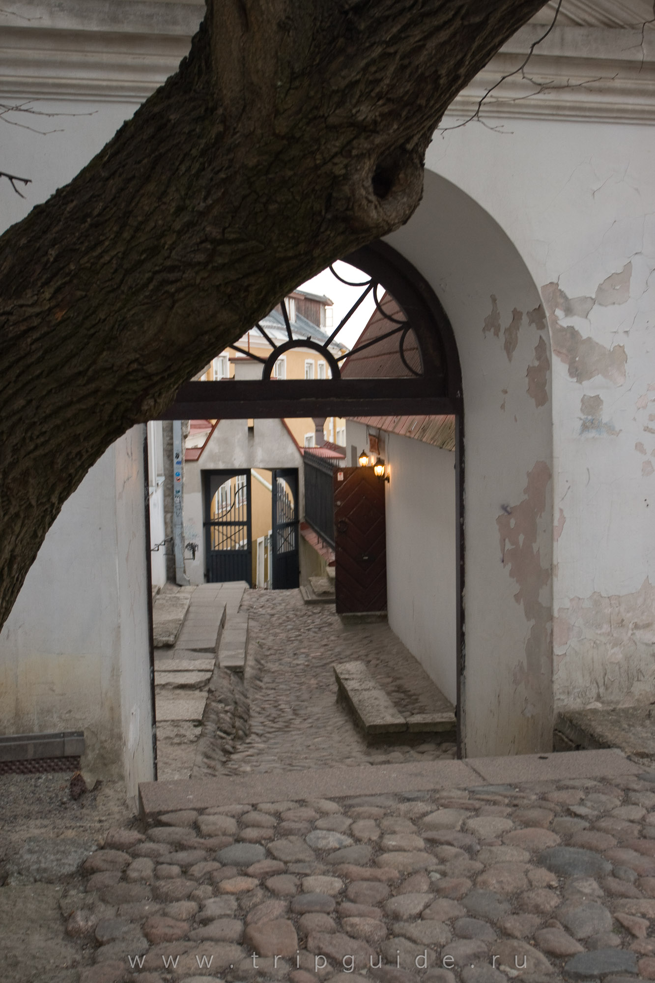 Улица Короткая Нога