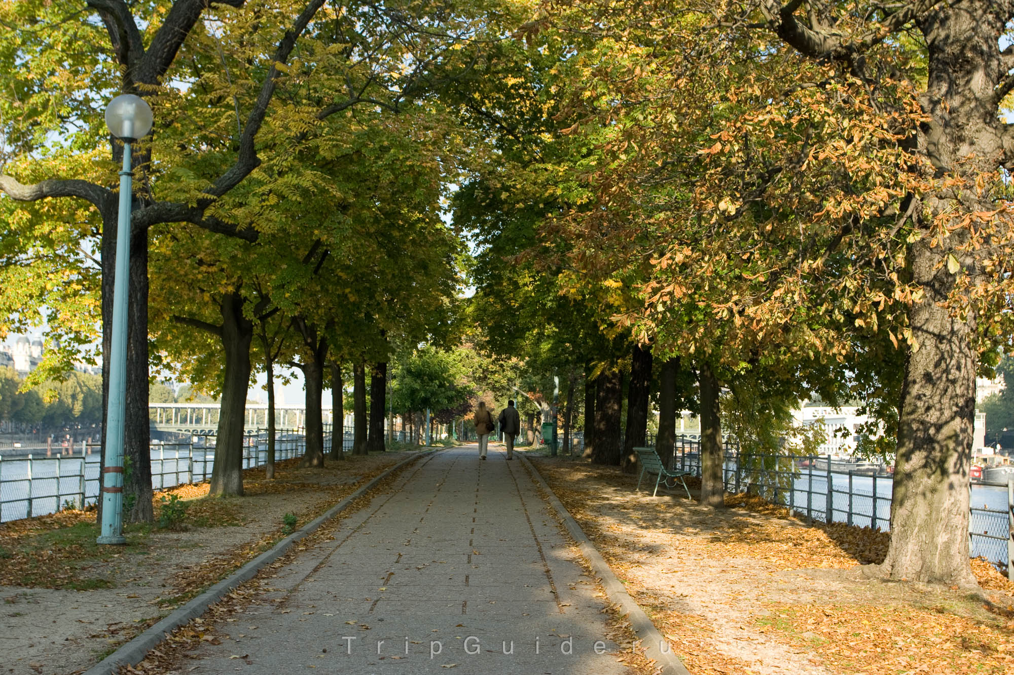 Лебединый остров, Париж
