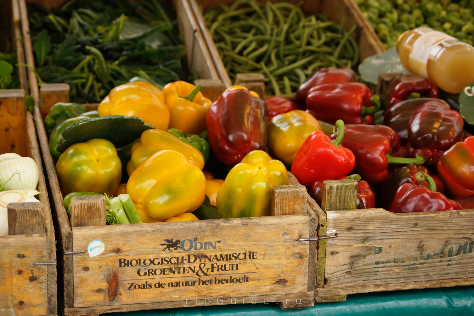 Овощи на Северном рынке (Noordermarkt)