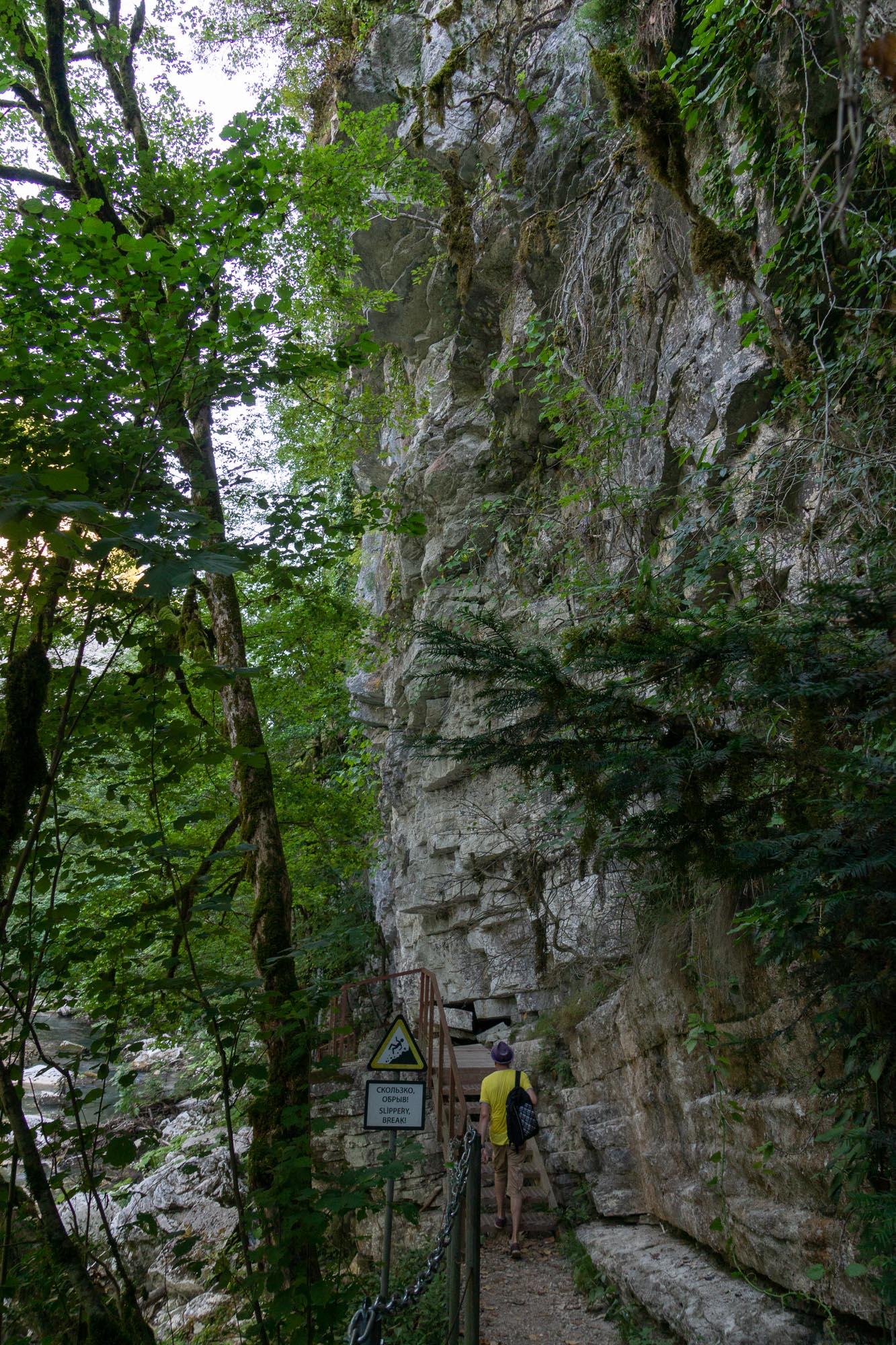 Тисо-Самшитовая роща, фото 52