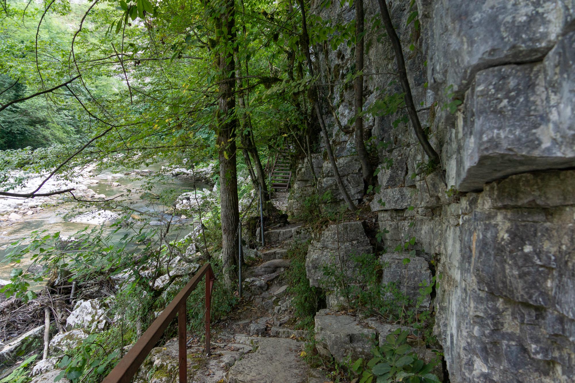 Тисо-Самшитовая роща, фото 53