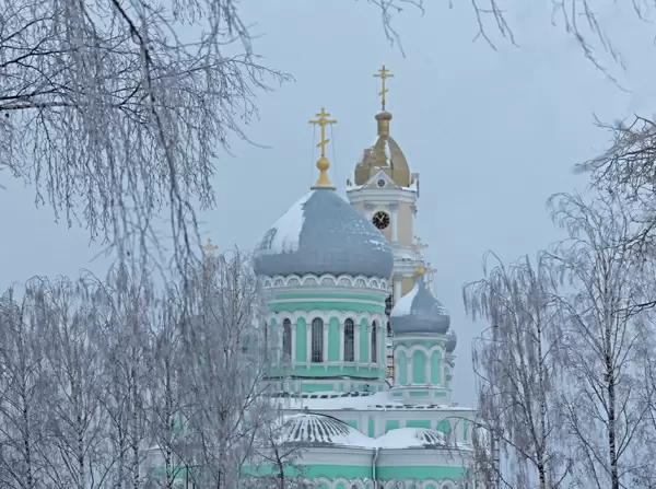 Монастырь Дивеево, купола храмов в снегу