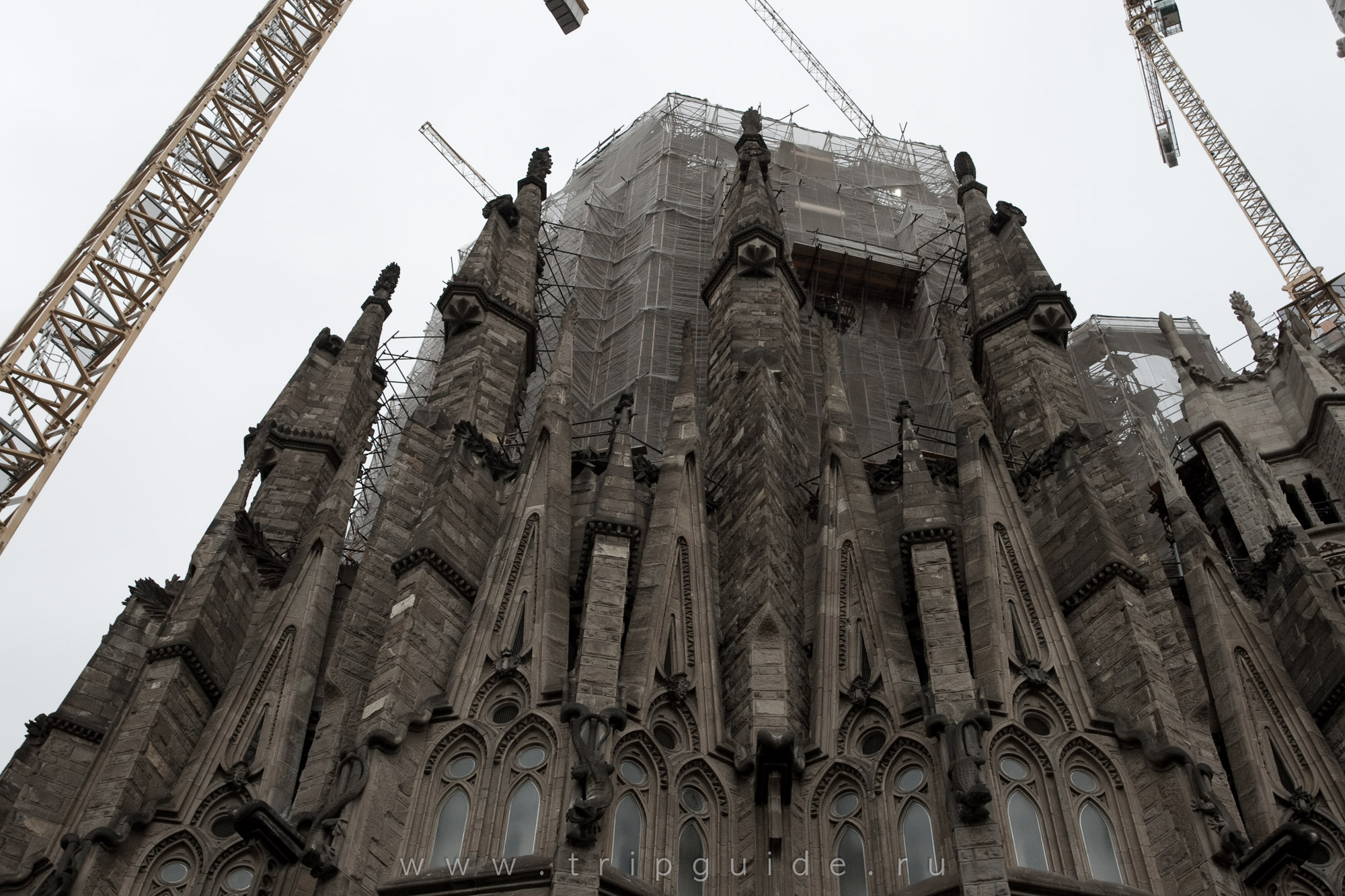Собор Саграда фамилия (собор Святого Семейства), фото 69