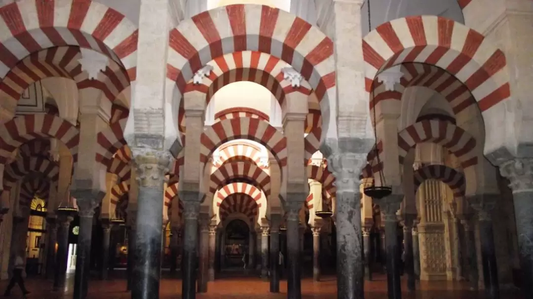 Мескита (Mesquita)