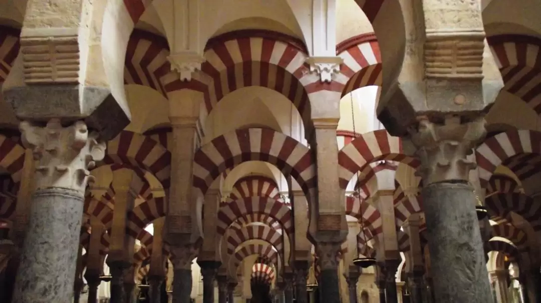 Мескита (Mesquita)