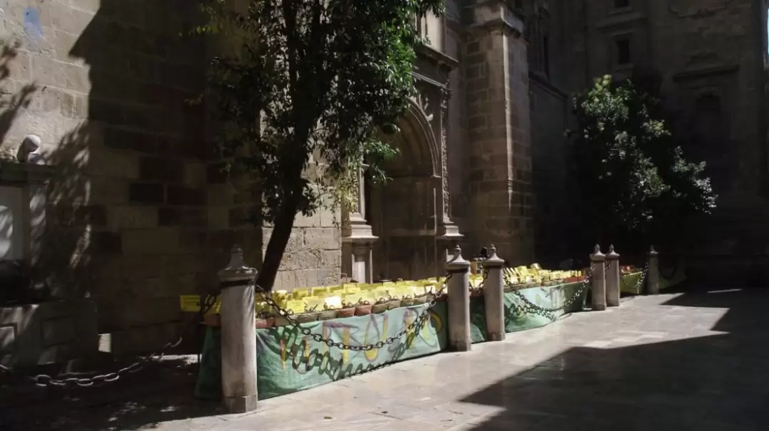 Catedral и торговля специями