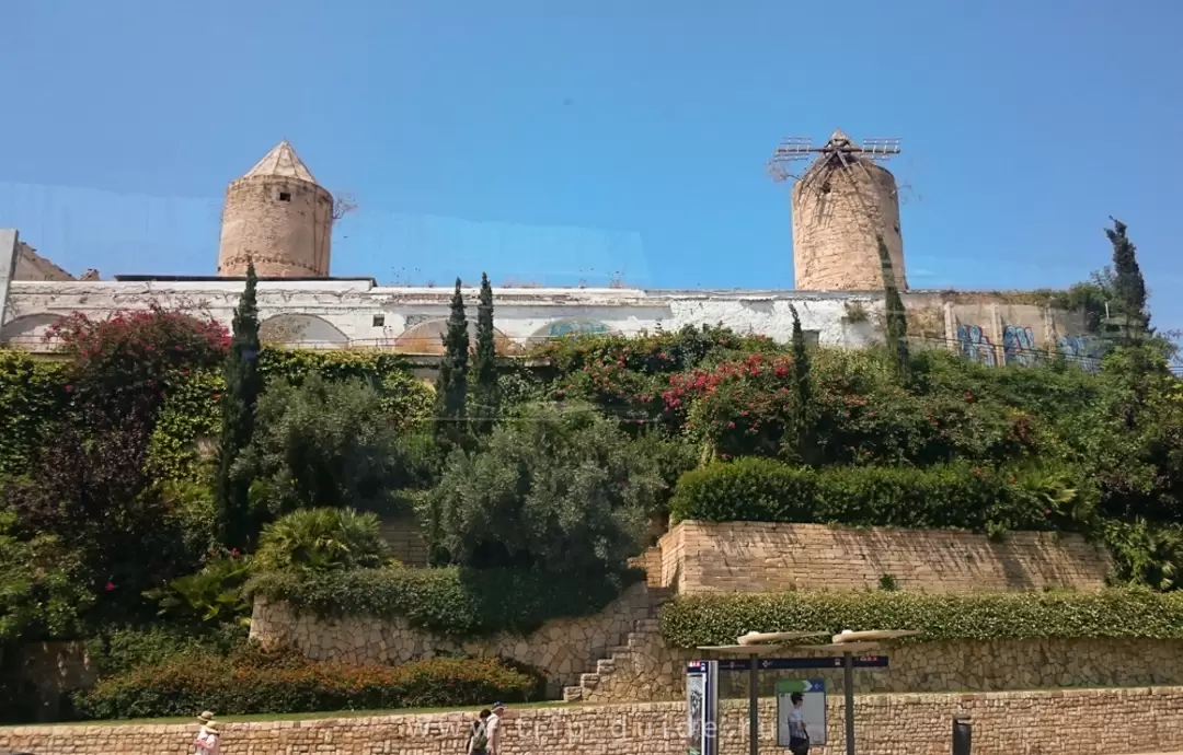 Пальма-де-Мальорка, фото 39