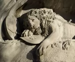 Люцерн: фотографии