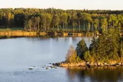 Острова с сосновым лесом, Стокгольмский архипелаг