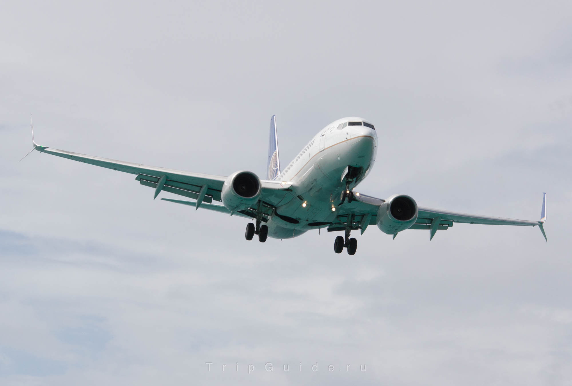 Самолет Boeing 737-724(WL) авиакомпании United, бортовой номер N25705