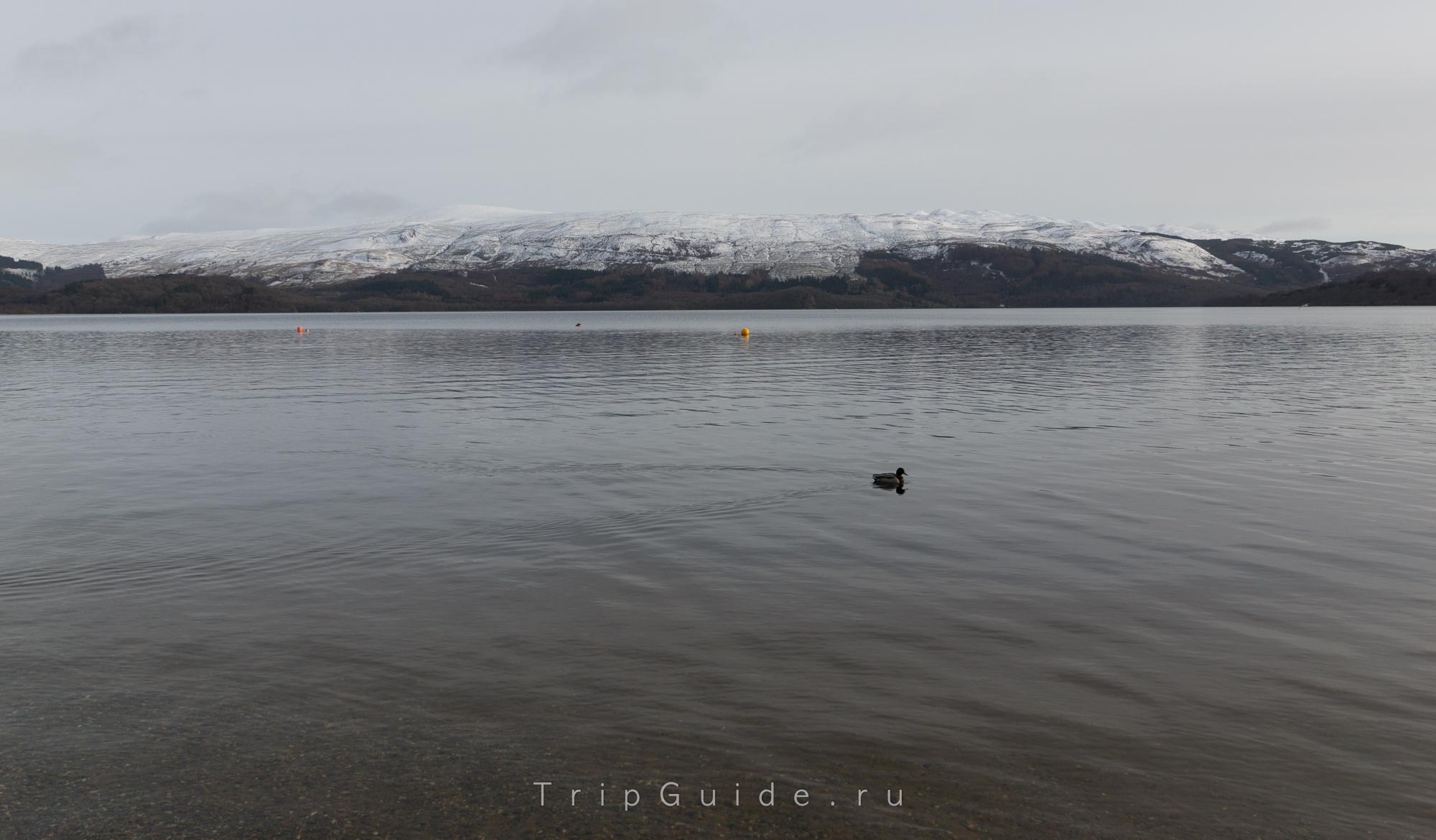 Озеро Лох Ломонд (Loch Lomond), фото 5