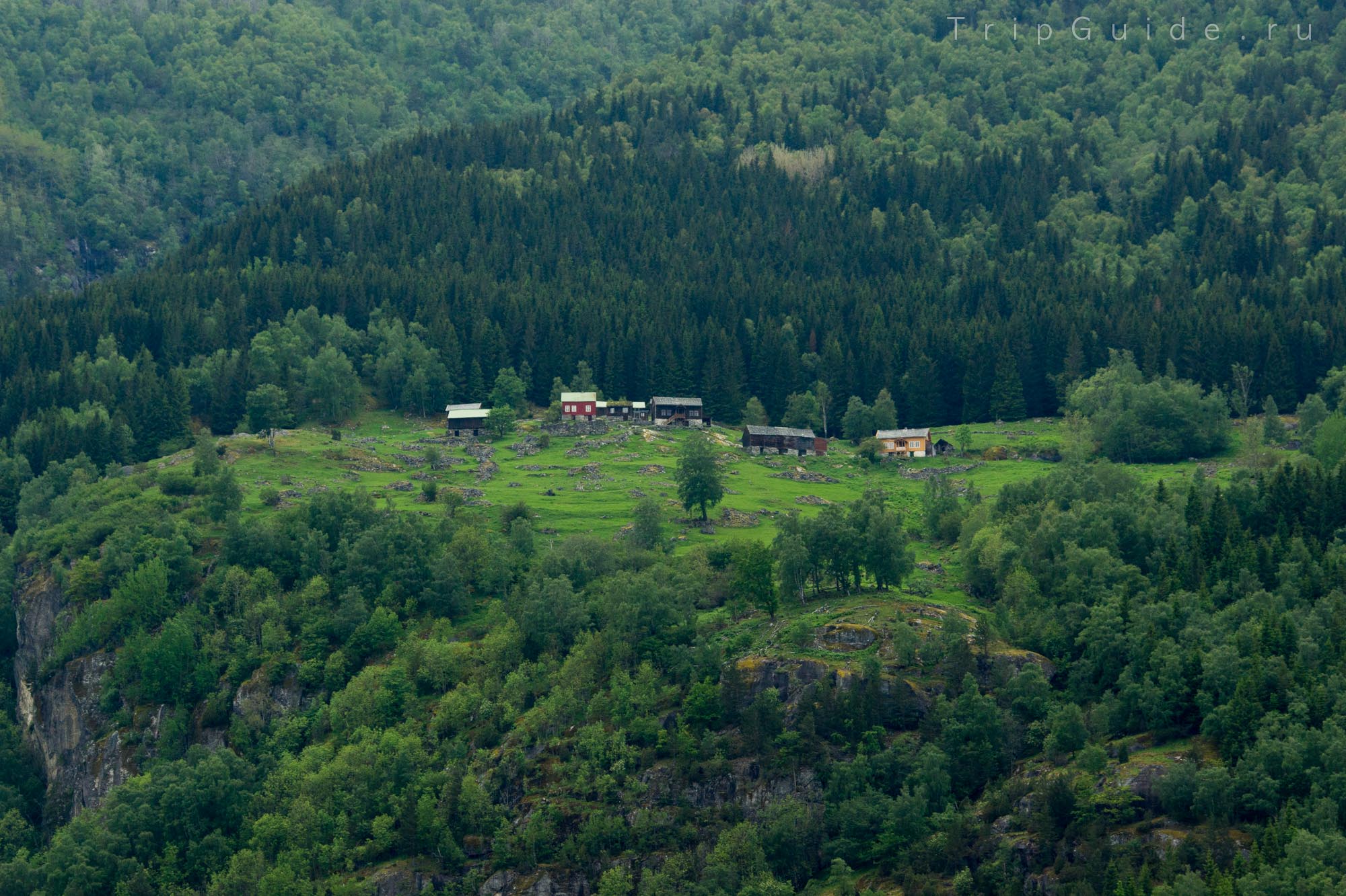 Горная ферма