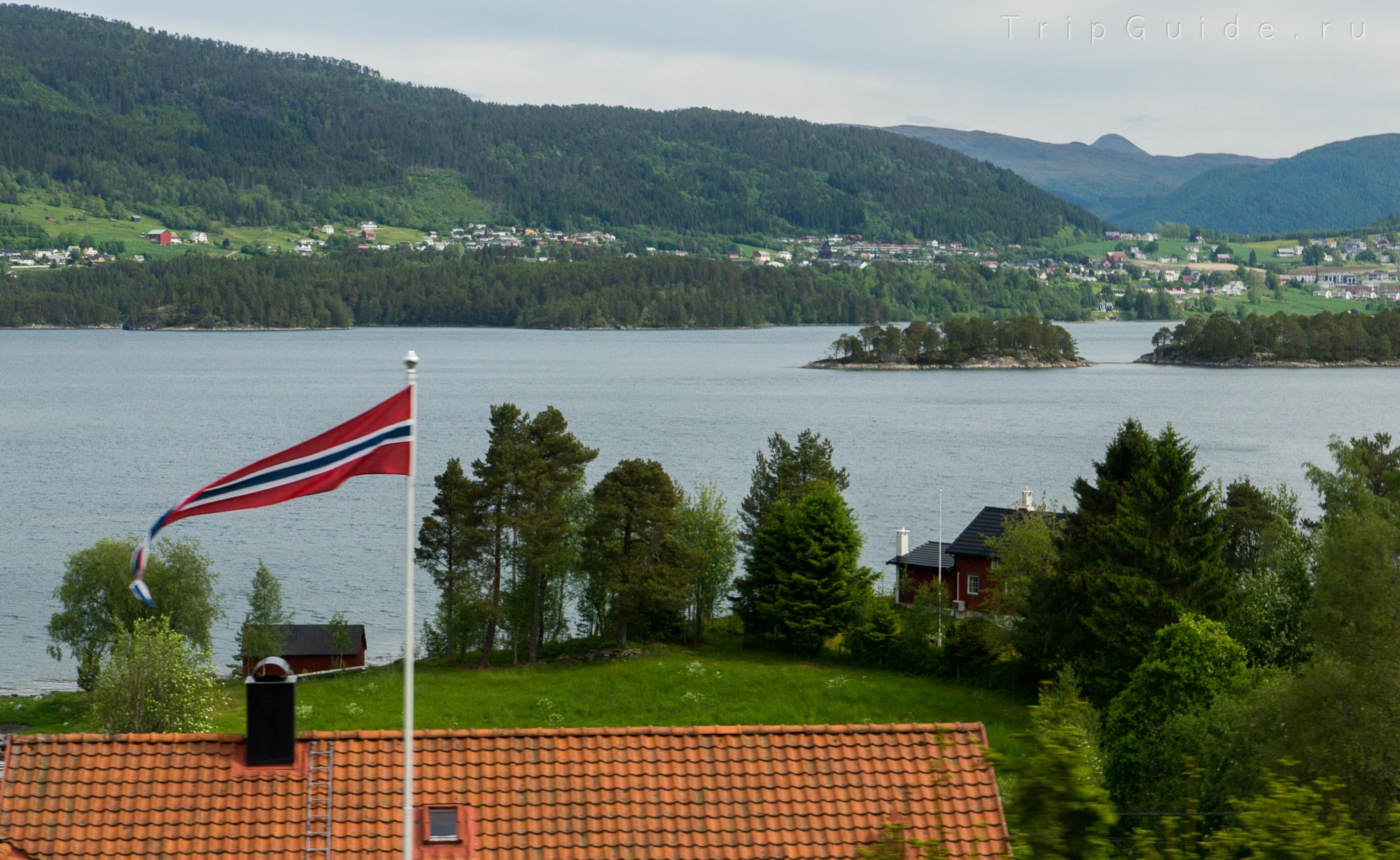 Skodjevika