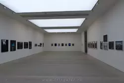 Галерея Саатчи в Лондоне, экспозиция