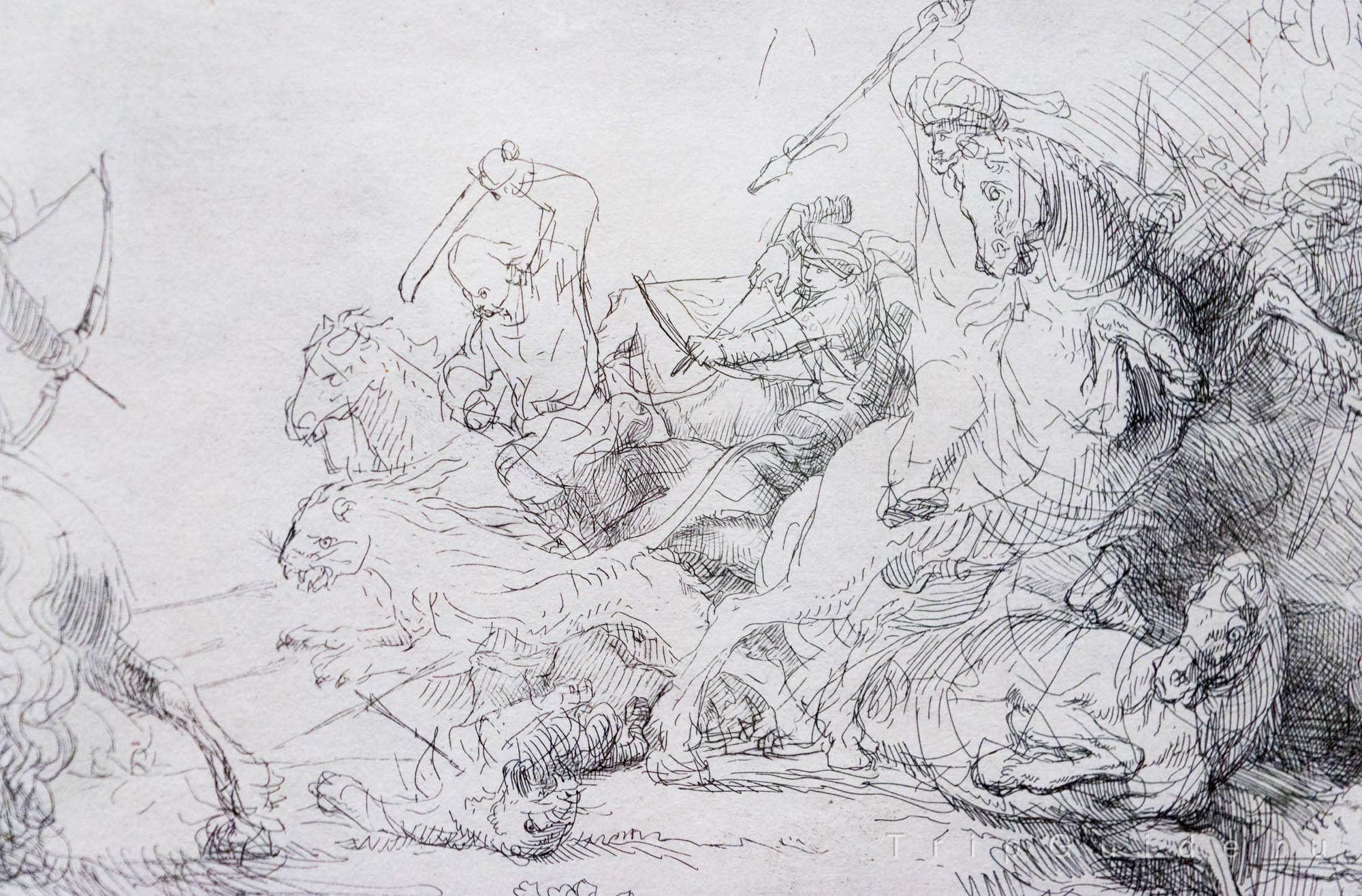 «Большая охота на львов» Рембрандт ван Рейн, 1641 г., деталь