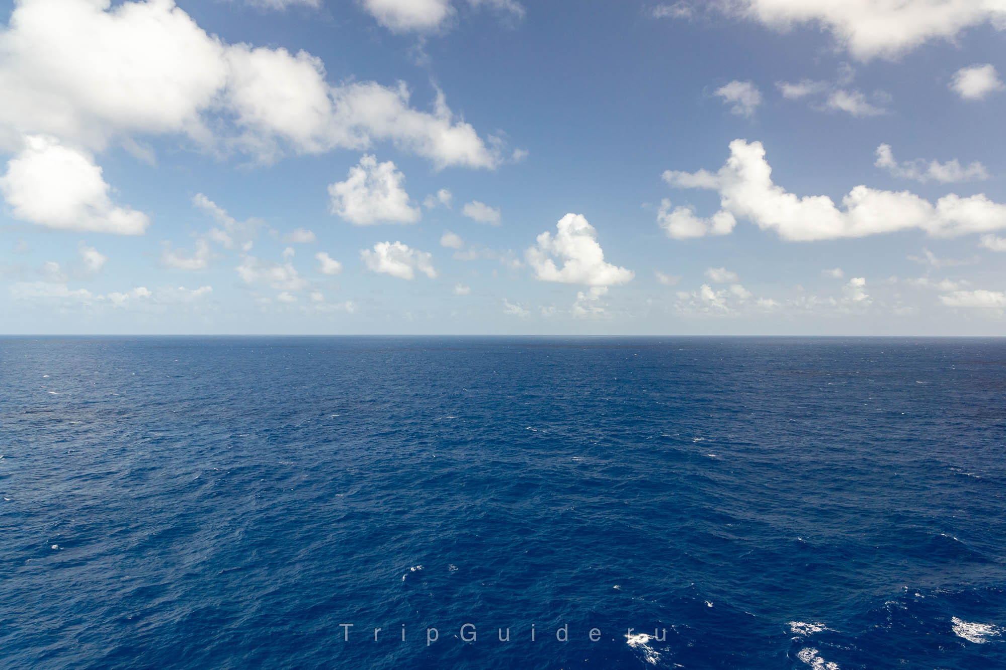 MSC Fantasia, фото 38