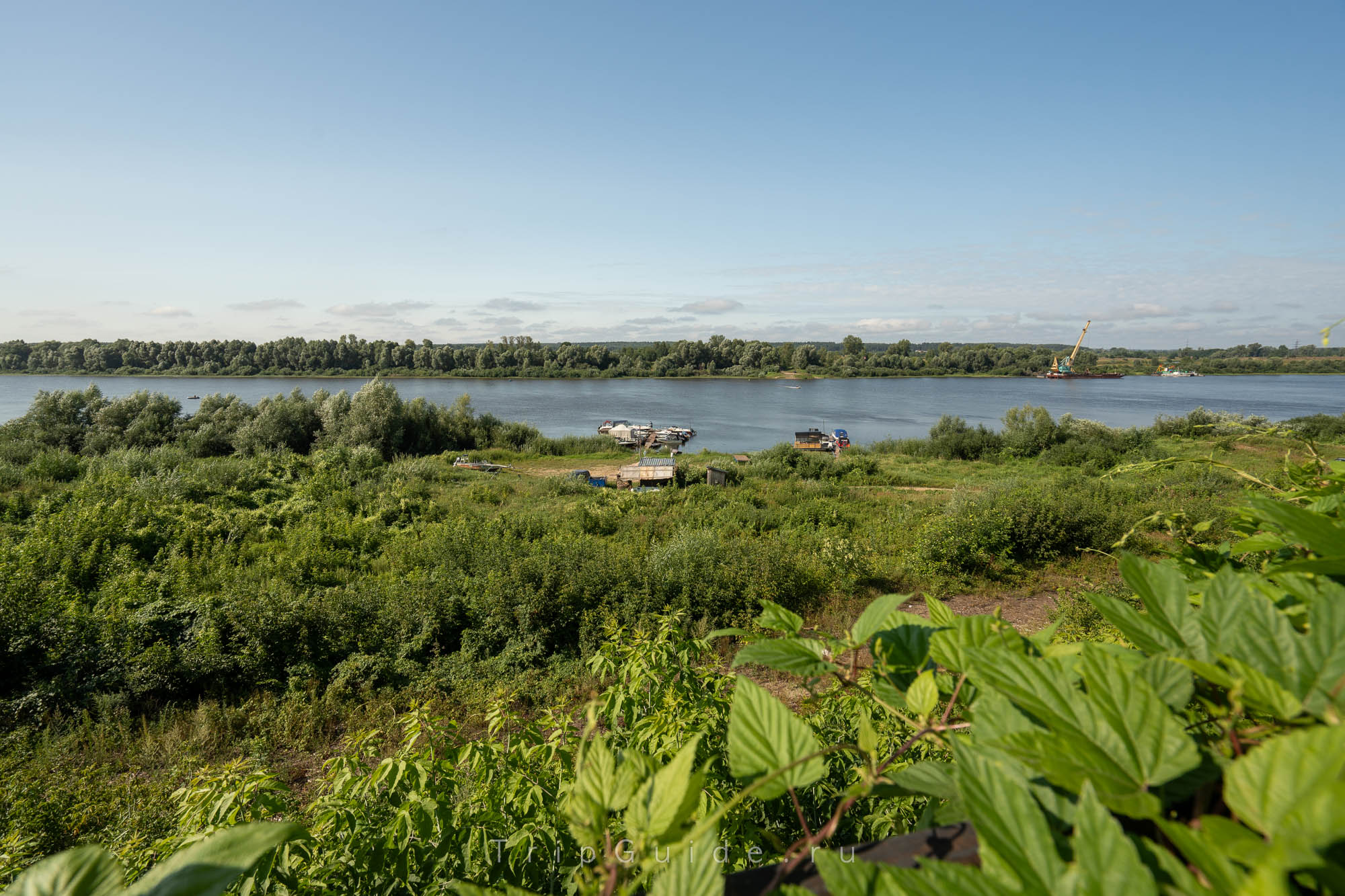 Зелёные берега Оки в городе Касимов