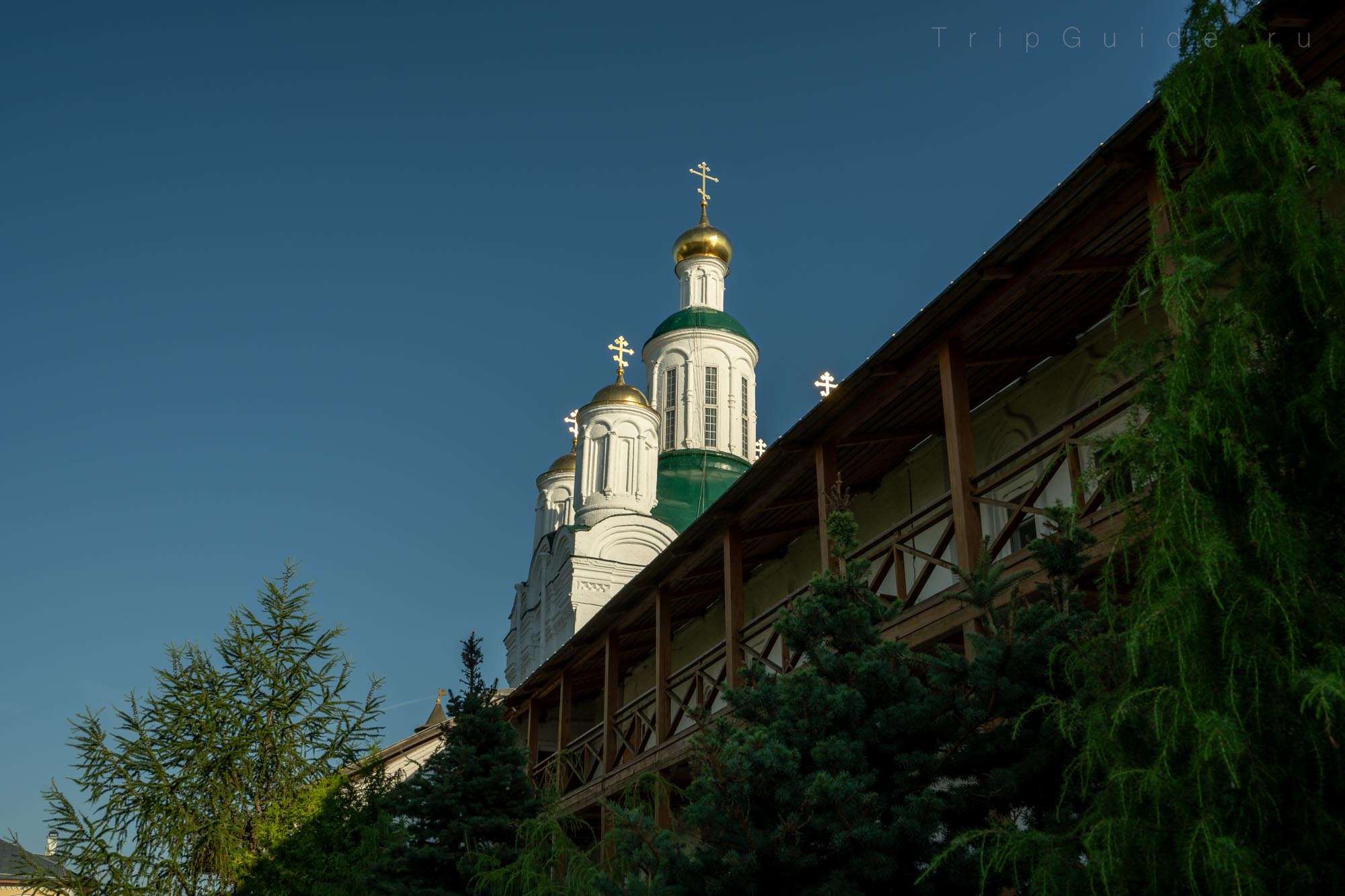 Купола надвратной церкви, Макарьевский монастырь