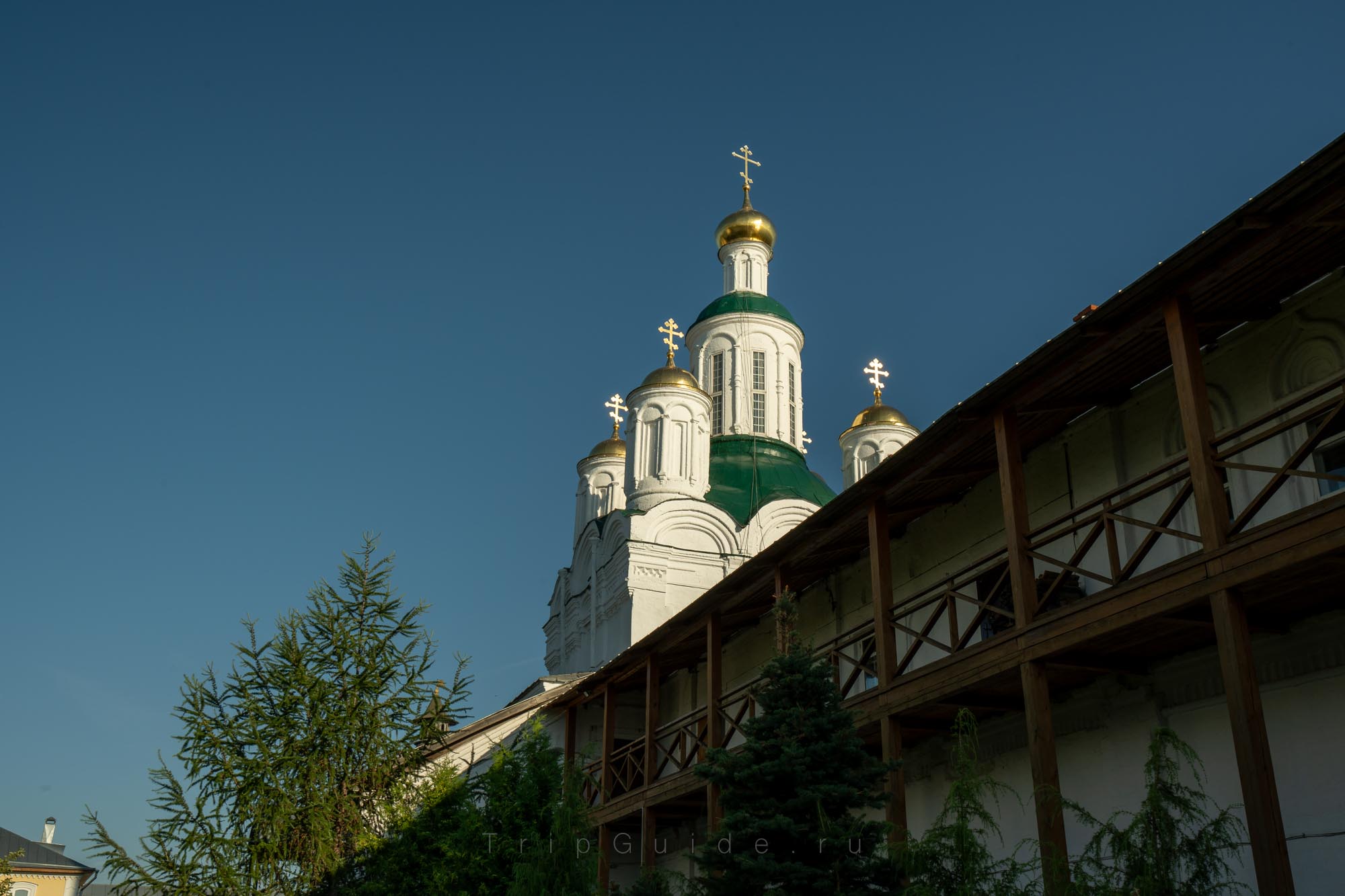 Купола надвратной церкви Макарьевского монастыря
