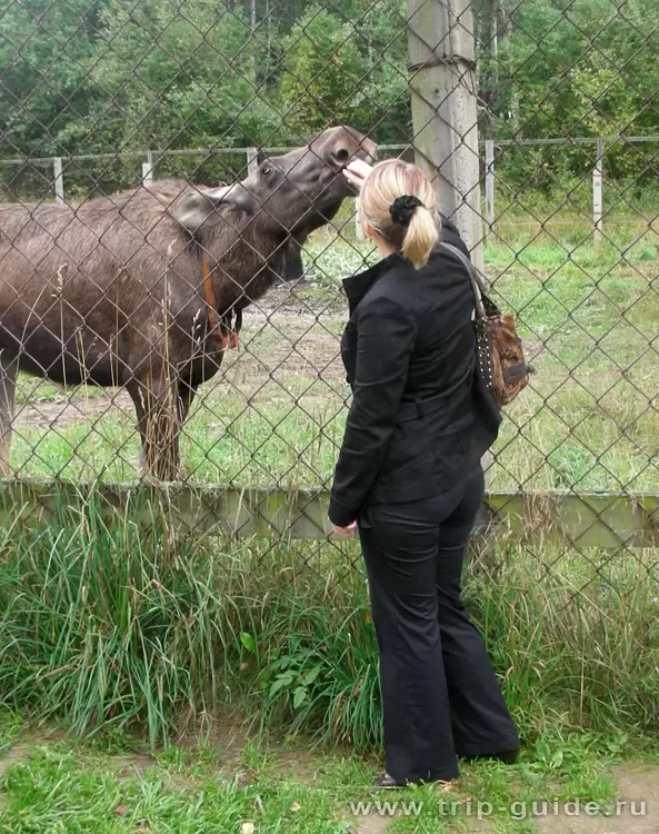 Сумароковский заказник, фото