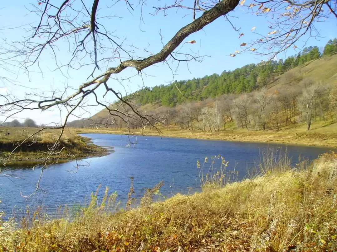 Жигули осенью