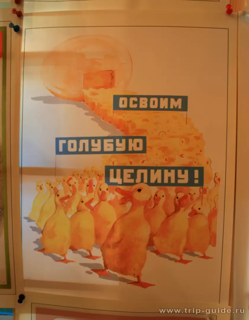 Плакат «Освоим голубую целину»