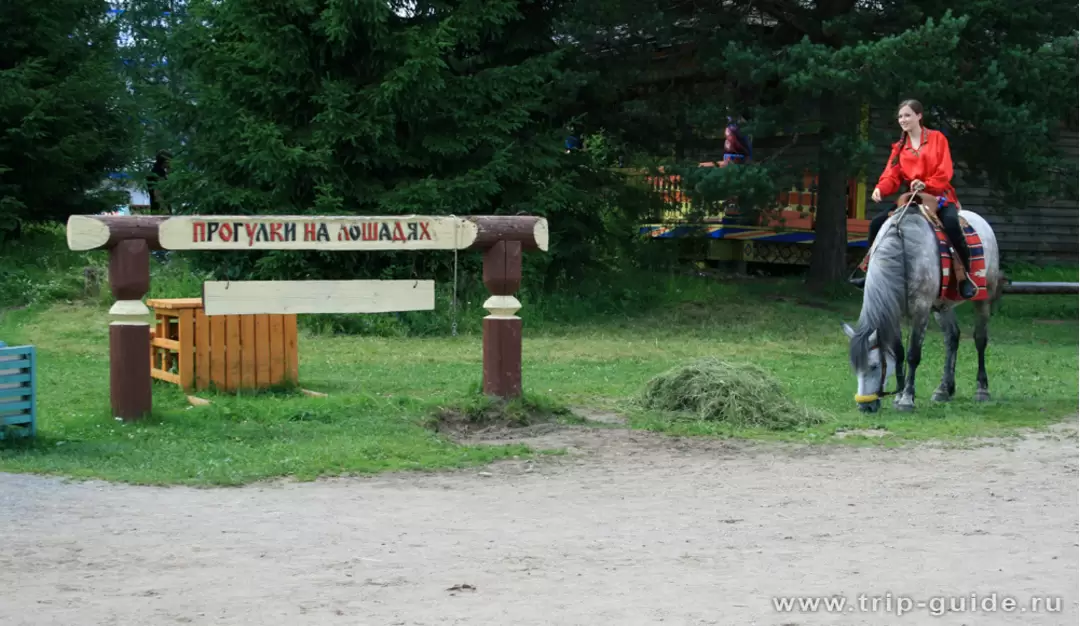 Прогулки на лошадях